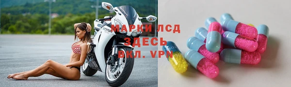твердый Абаза