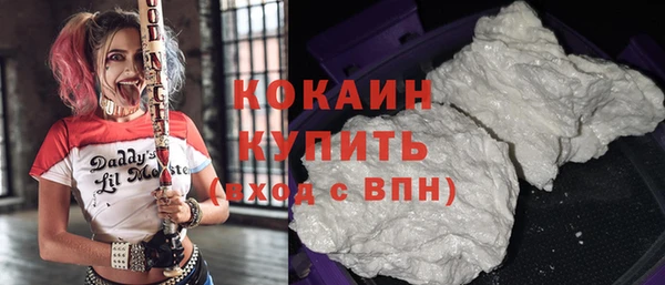 твердый Абаза