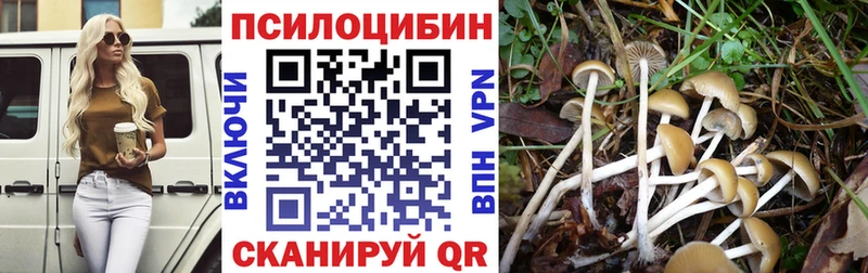 где продают   Ужур  Галлюциногенные грибы Cubensis 